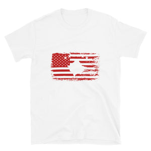 US and KS flag - Women's T-shirt